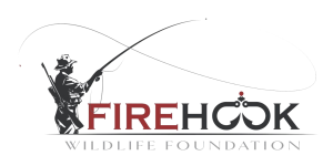 Firehook Logo PNG